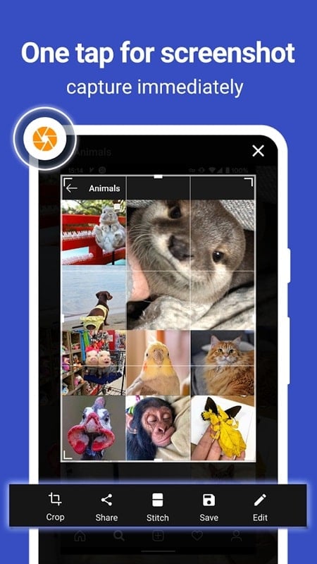 ScreenMaster 1.8.0.31 (Pro Unlocked)