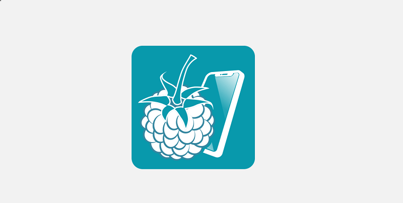 RaspController 6.0.0 (Unlocked Pro)